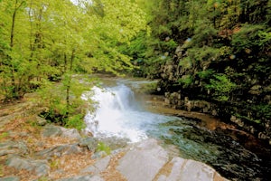 Explore Bartlett Falls