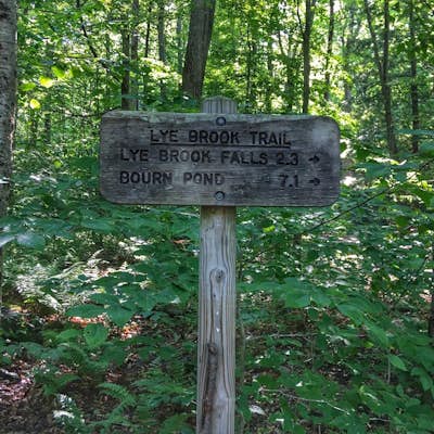 Hike the Lye Brook Falls Trail
