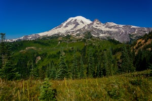 Hike Indian Bar - Cowlitz Divide via Box Canyon