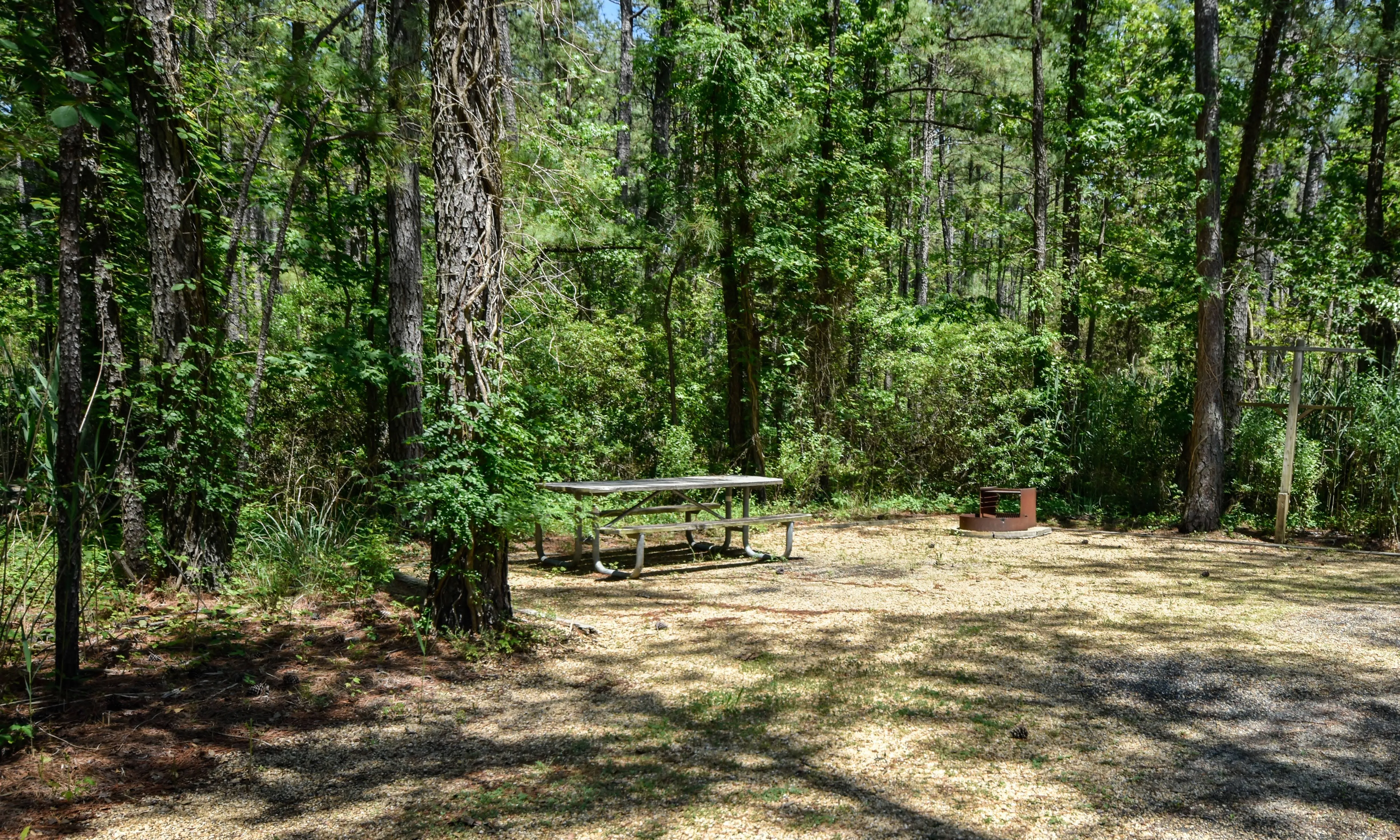 Explore Point Lookout State Park