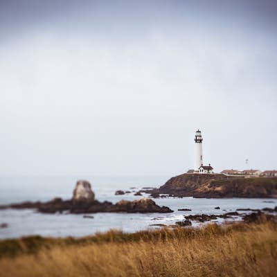 Explore the Pidgeon Point Lighthouse