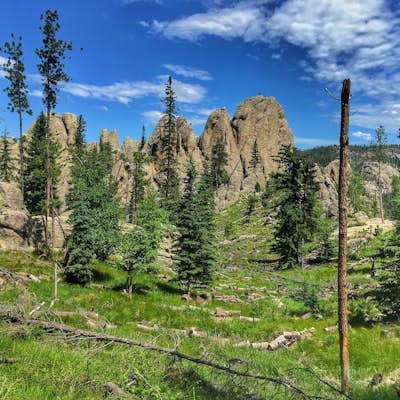 Drive Needles Highway in Custer State Park