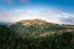 Russian Ridge Loop