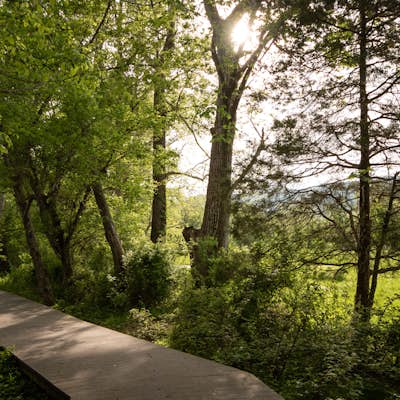 Hike the  Shenandoah River State Park Loop