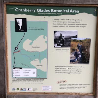 Walk Around the Cranberry Glades, Monongahela NF