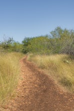 Hike Limbo Loop