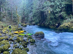 Chasing water in the Olympic Peninsula
