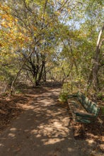 Hike Main Loop And Juniper Trail