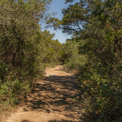 Main Loop to Restoration Way Trail