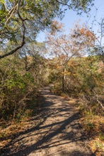 Hike the Main Loop to Vista Loop to Fern Del Trail