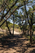 Hike Wolf Mountain, Juniper Ridge And South Loop Equestrian Trail