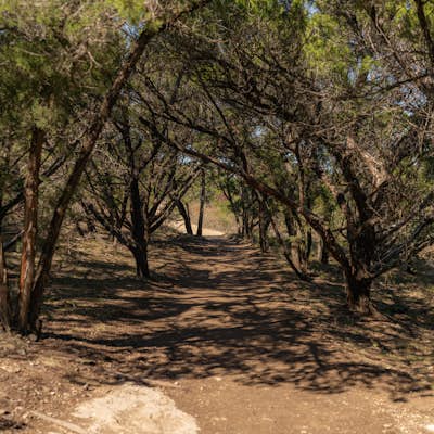 Hike the Wolf Mountain Trail