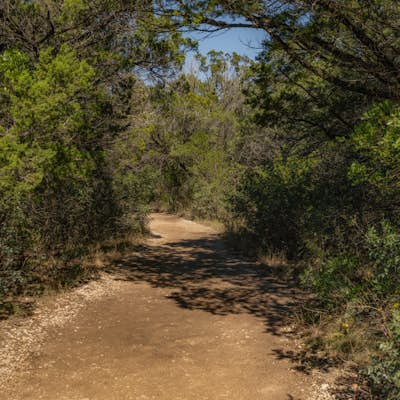 Hike the Wolf Mountain Trail