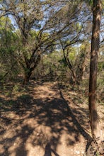 Hike Juniper Spring Via Wolf Mountain And Juniper Ridge