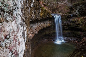 Explore the Waterfalls at Campbells Run 