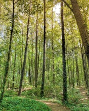 Hike Indian River Park