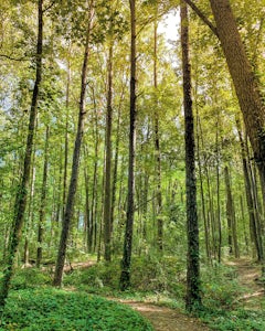 Hike Indian River Park
