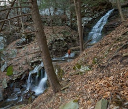 Gipson Falls