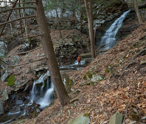 Gipson Falls