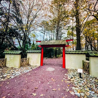 Explore Miyazaki Japanese Garden