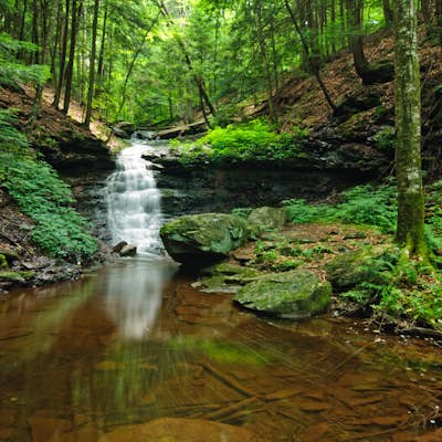 Photograph Mineral Springs Falls 