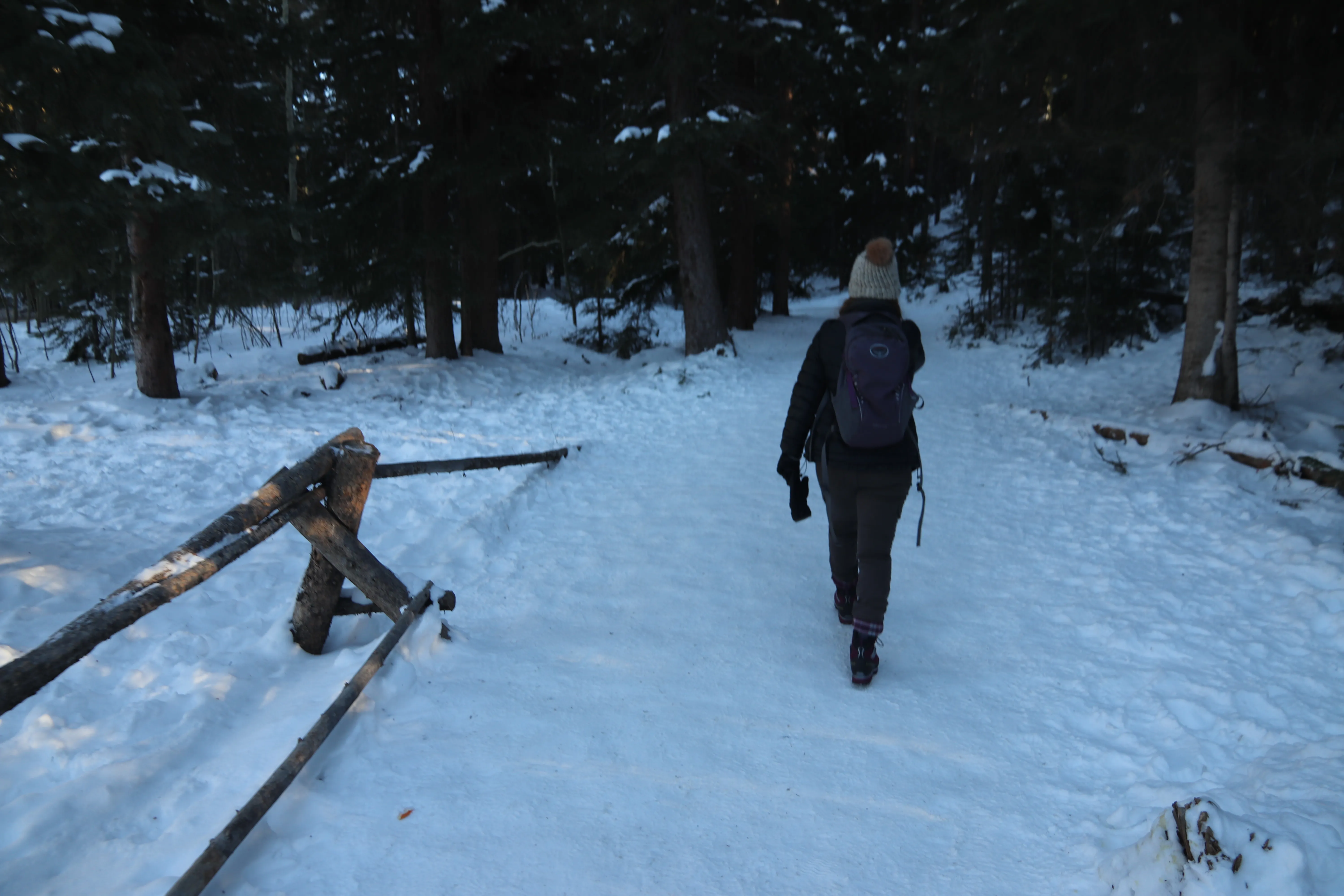 Breckenridge Troll