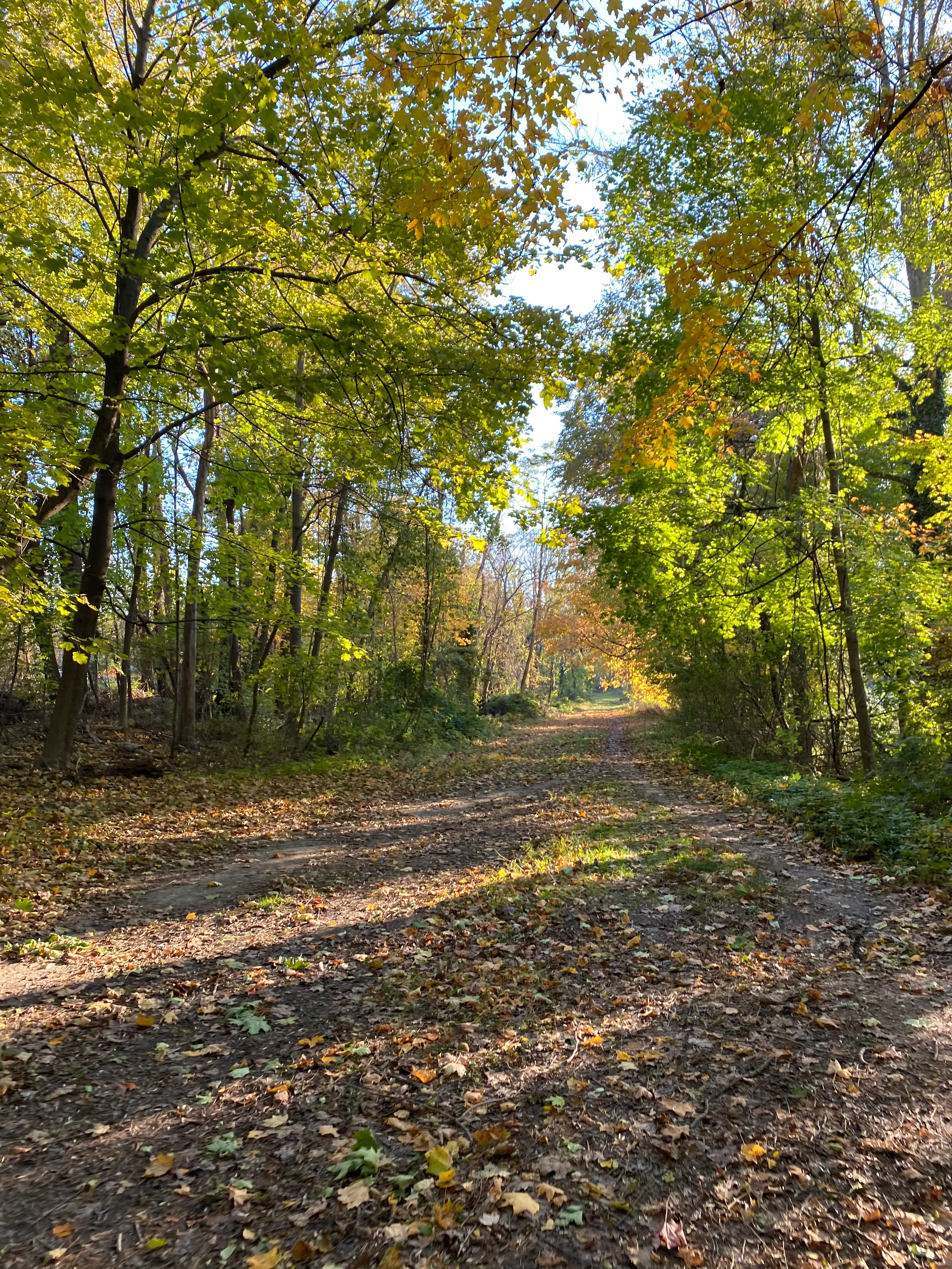 Run the Old Croton Aqueduct Trail