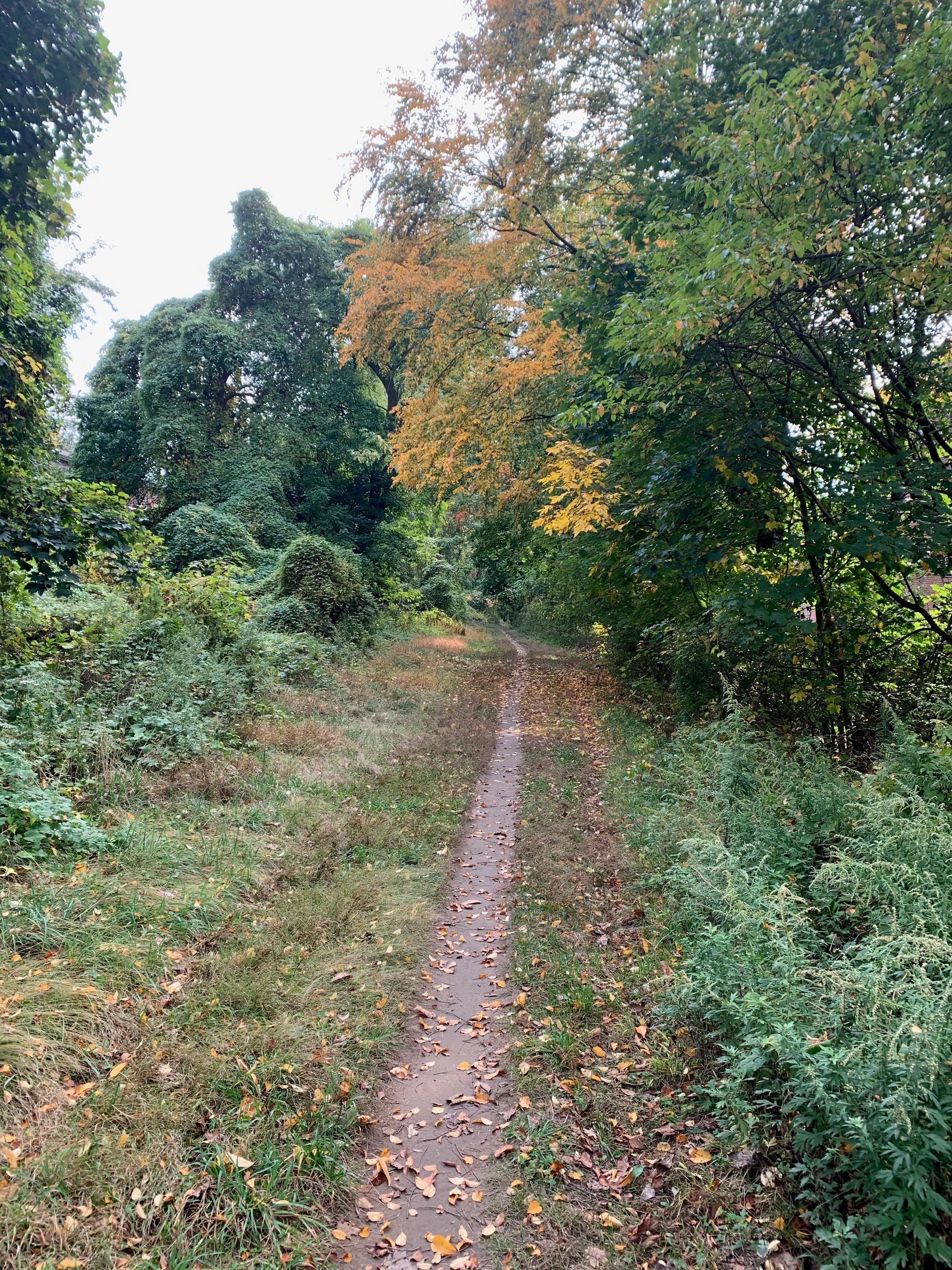 Run the Old Croton Aqueduct Trail