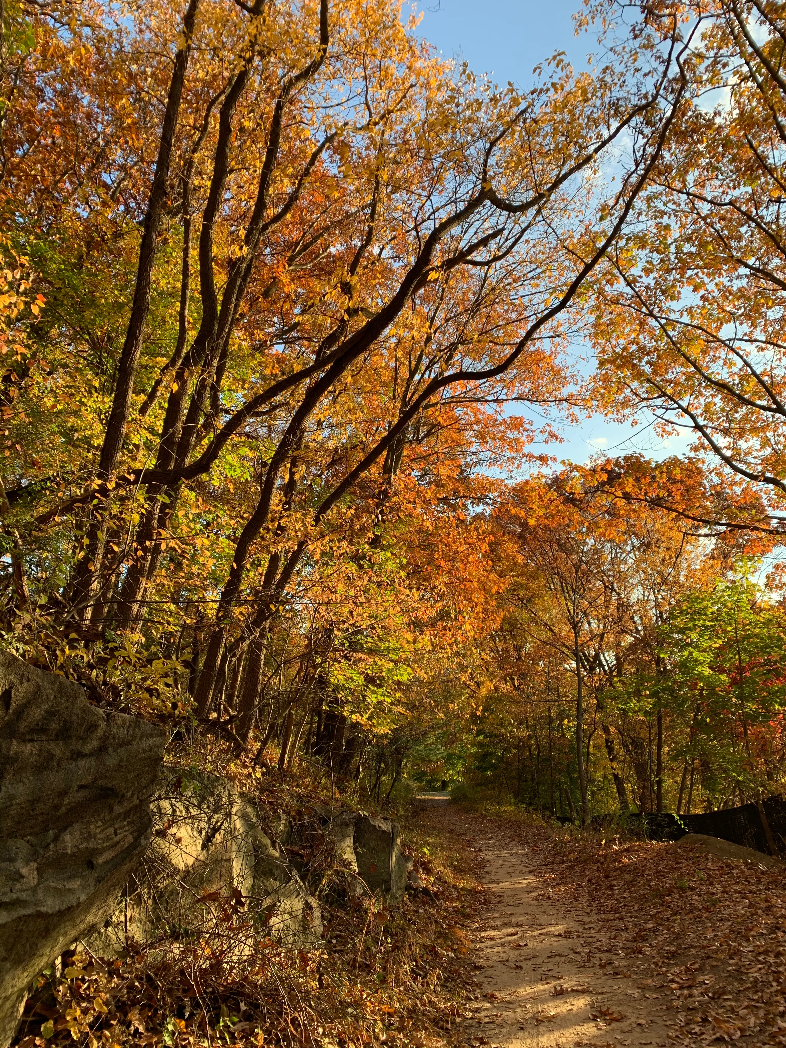 Run the Old Croton Aqueduct Trail