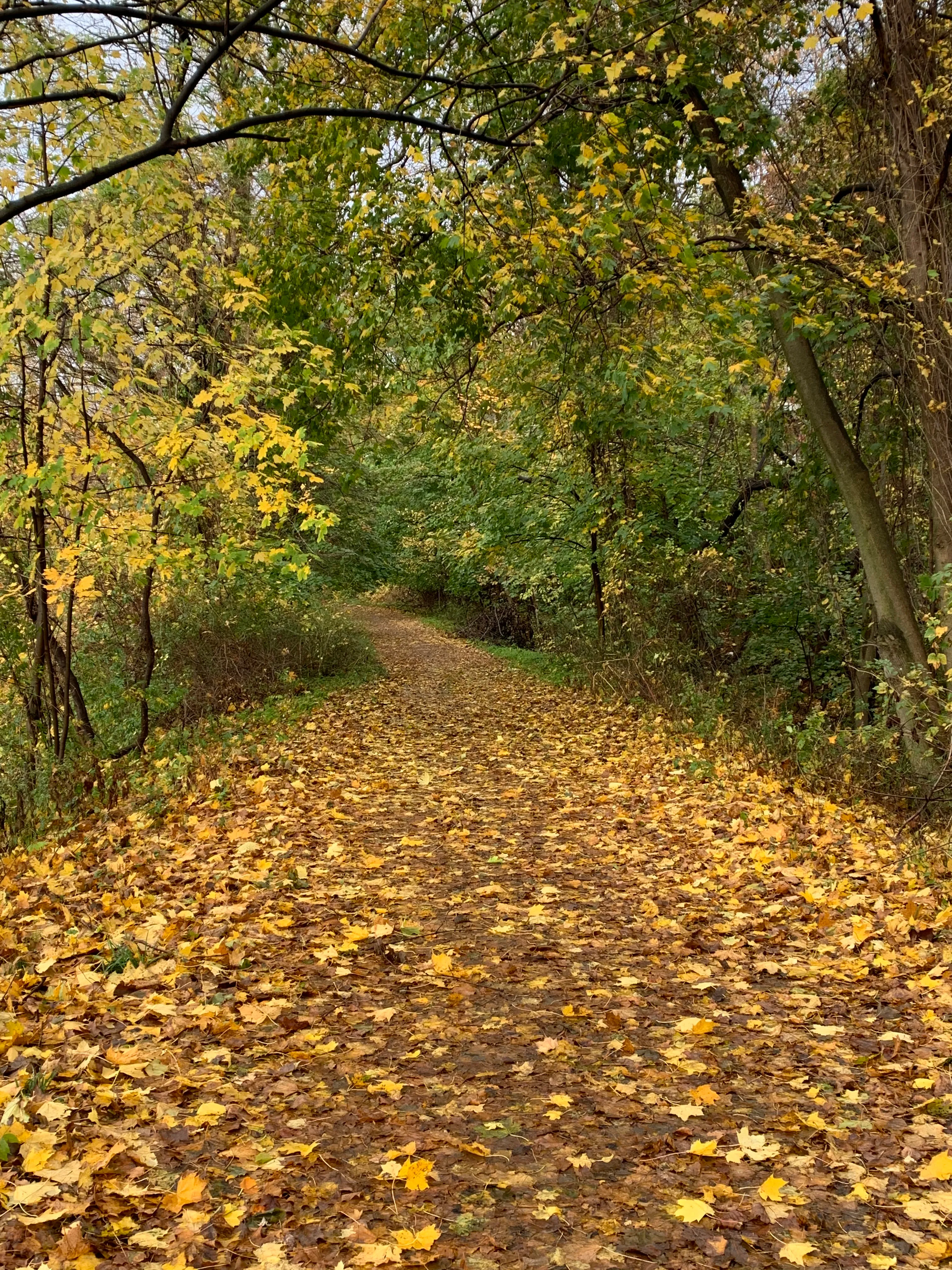 Run the Old Croton Aqueduct Trail