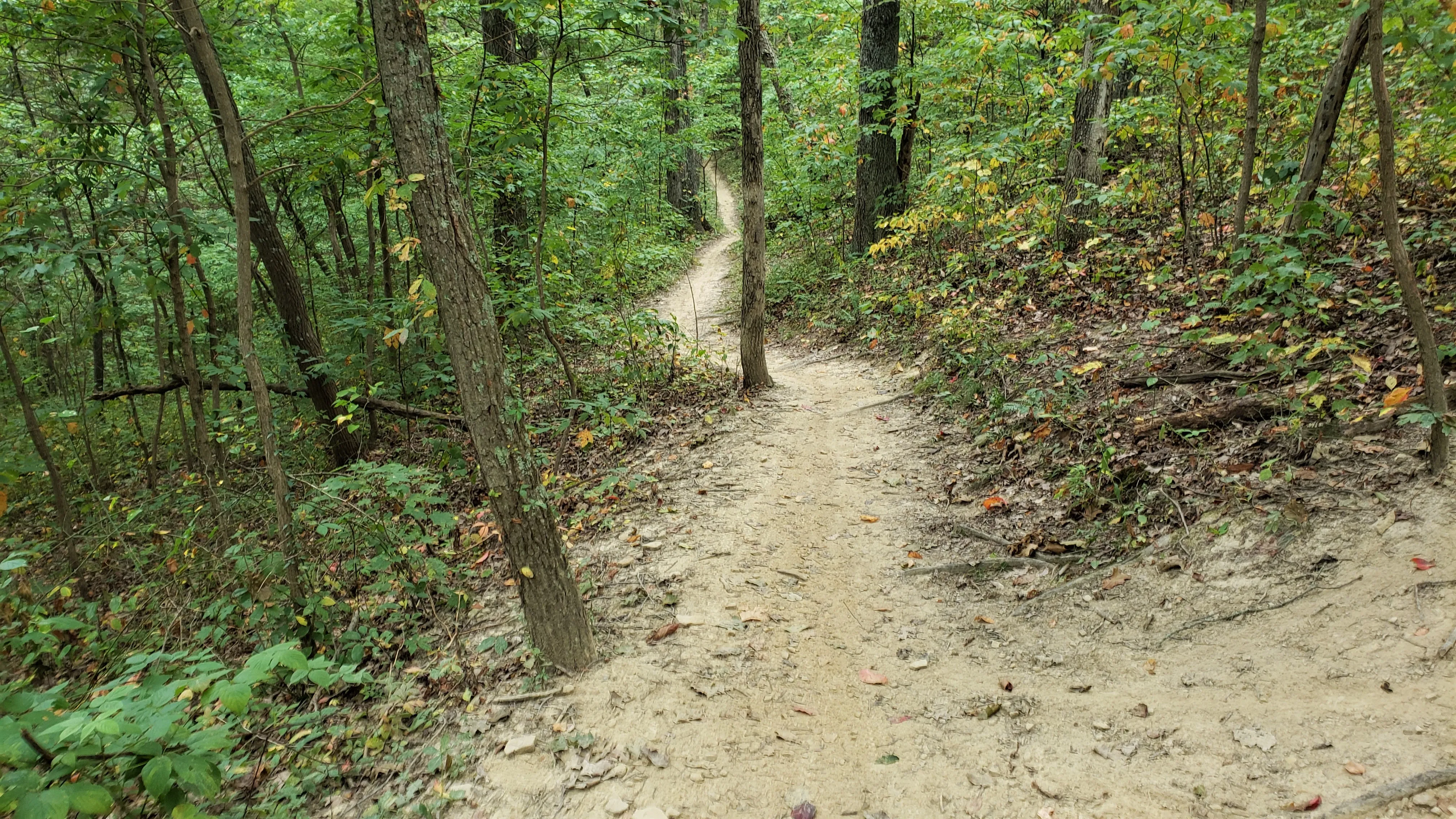 Mountain Bike at Brown County State Park