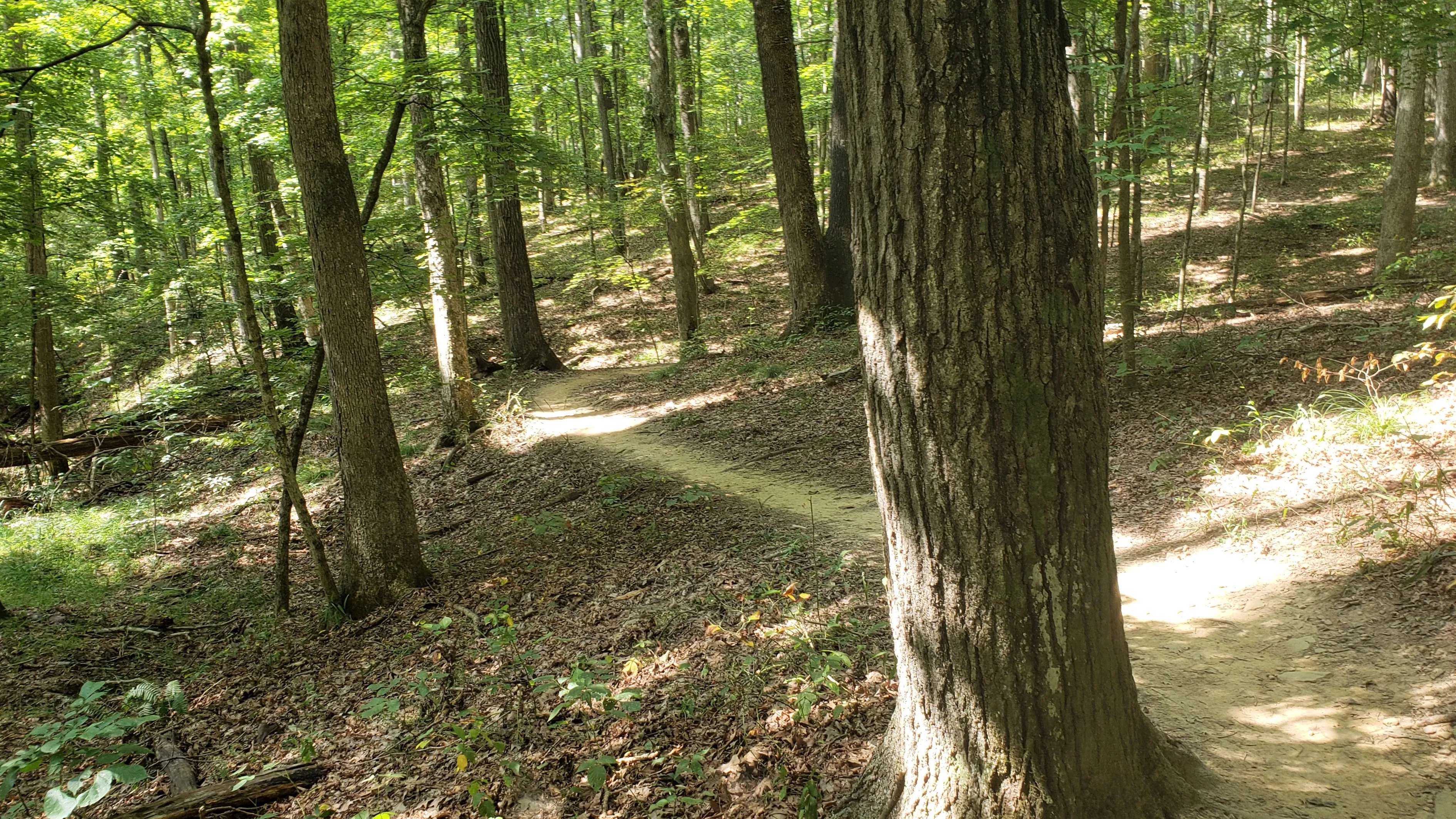 Mountain Bike at Brown County State Park