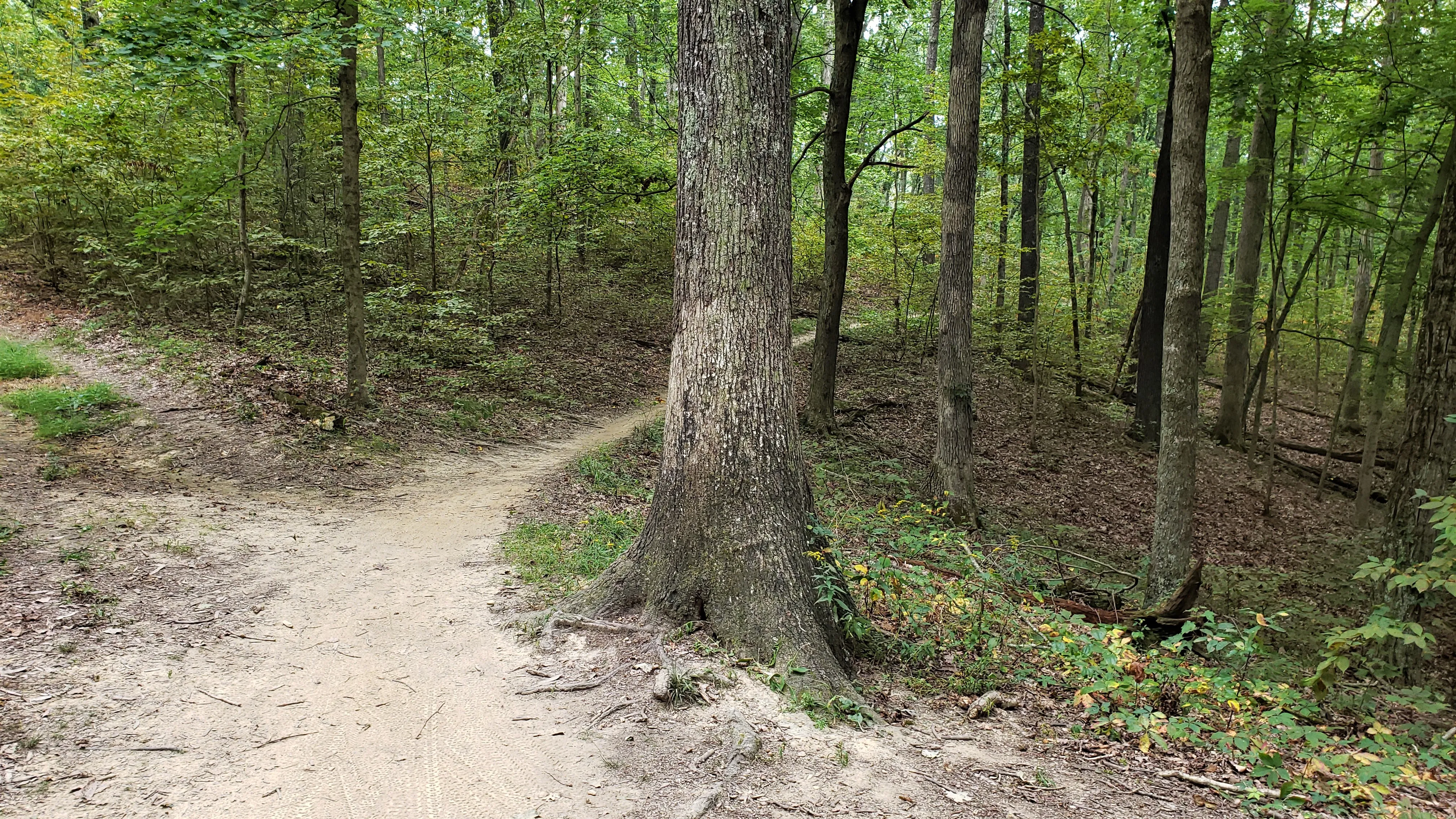 Mountain Bike at Brown County State Park