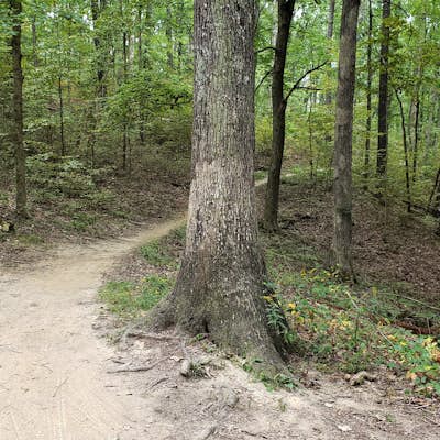Mountain Bike at Brown County State Park
