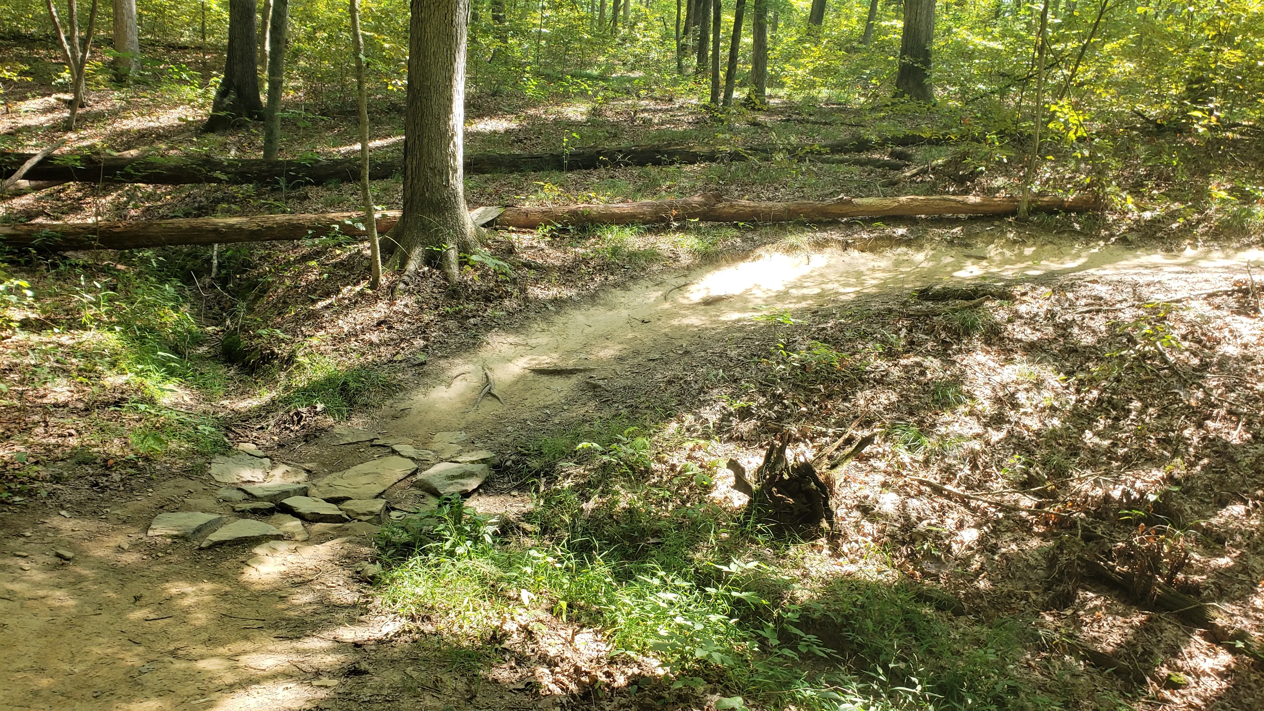 Mountain Bike at Brown County State Park