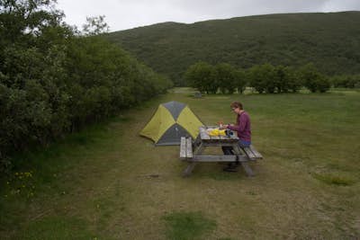 Camp at Skaftafell Campground