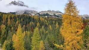 Photograph The Dolomites Near Misurina