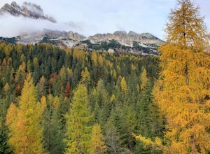 Photograph The Dolomites Near Misurina