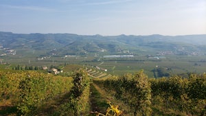 Tour the Trabucchi D'Illasi Winery