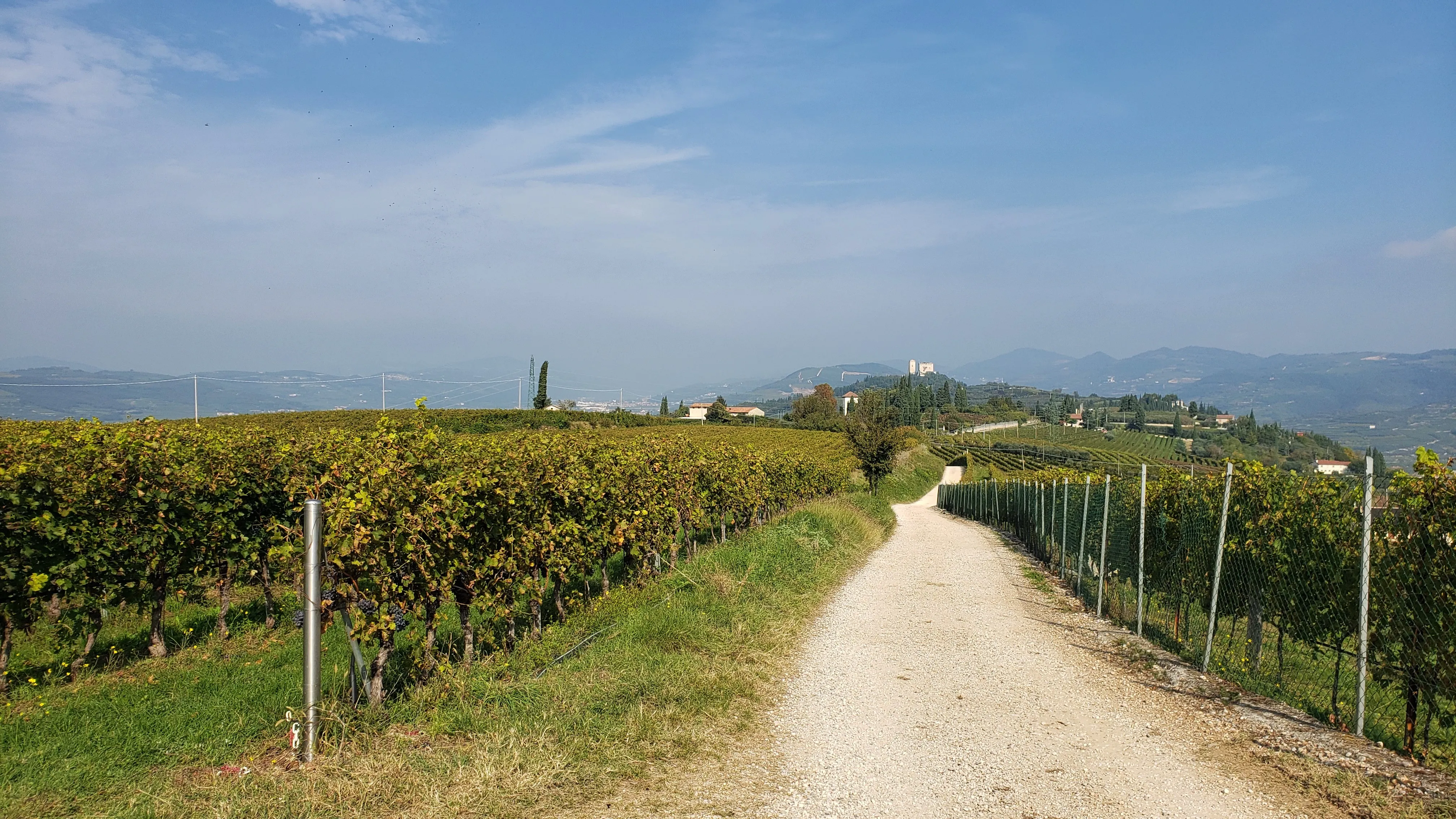 Tour the Trabucchi D'Illasi Winery
