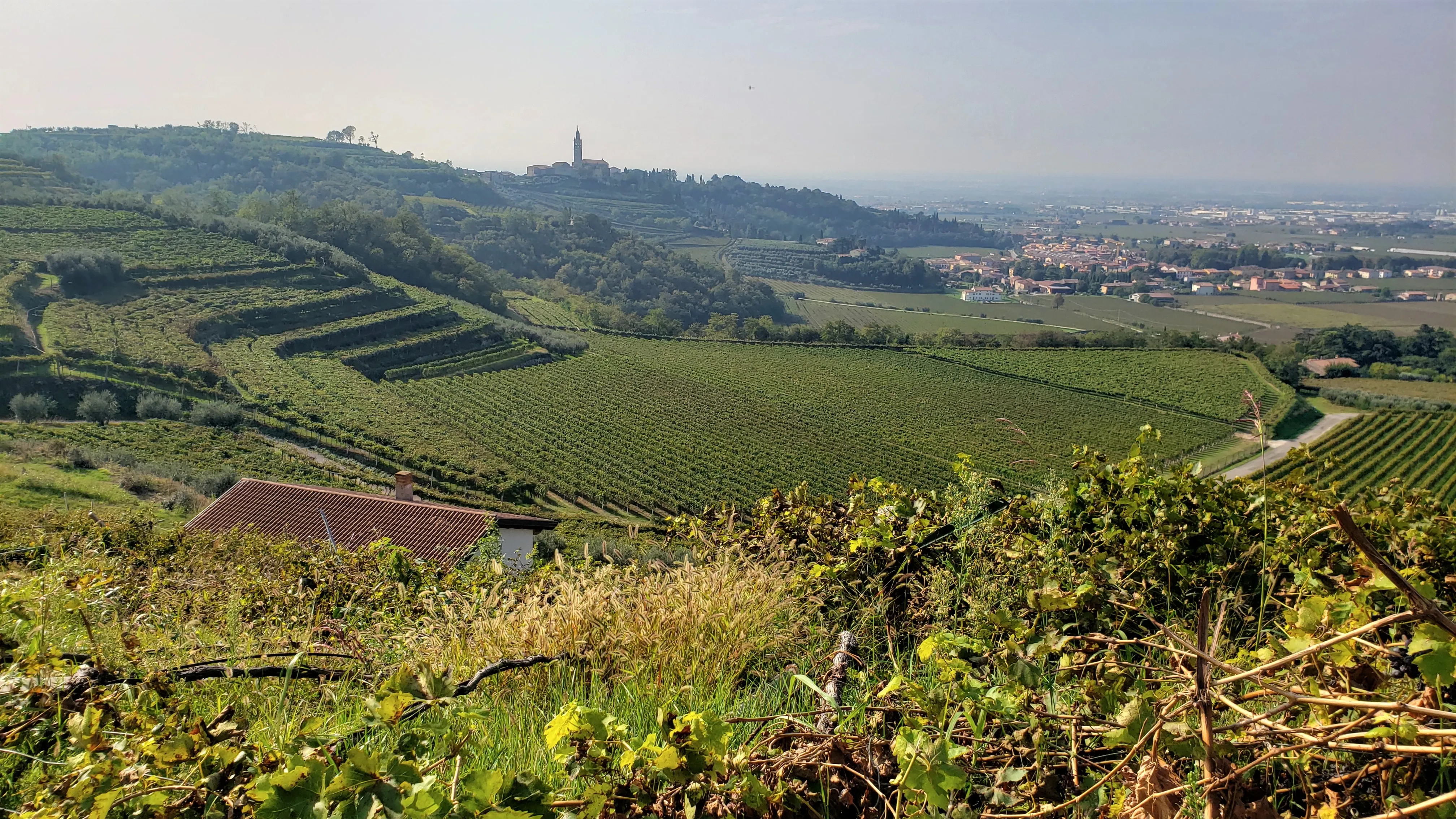 Tour the Trabucchi D'Illasi Winery