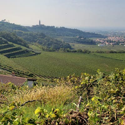 Tour the Trabucchi D'Illasi Winery