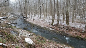 Glen Helen Nature Preserve Loop