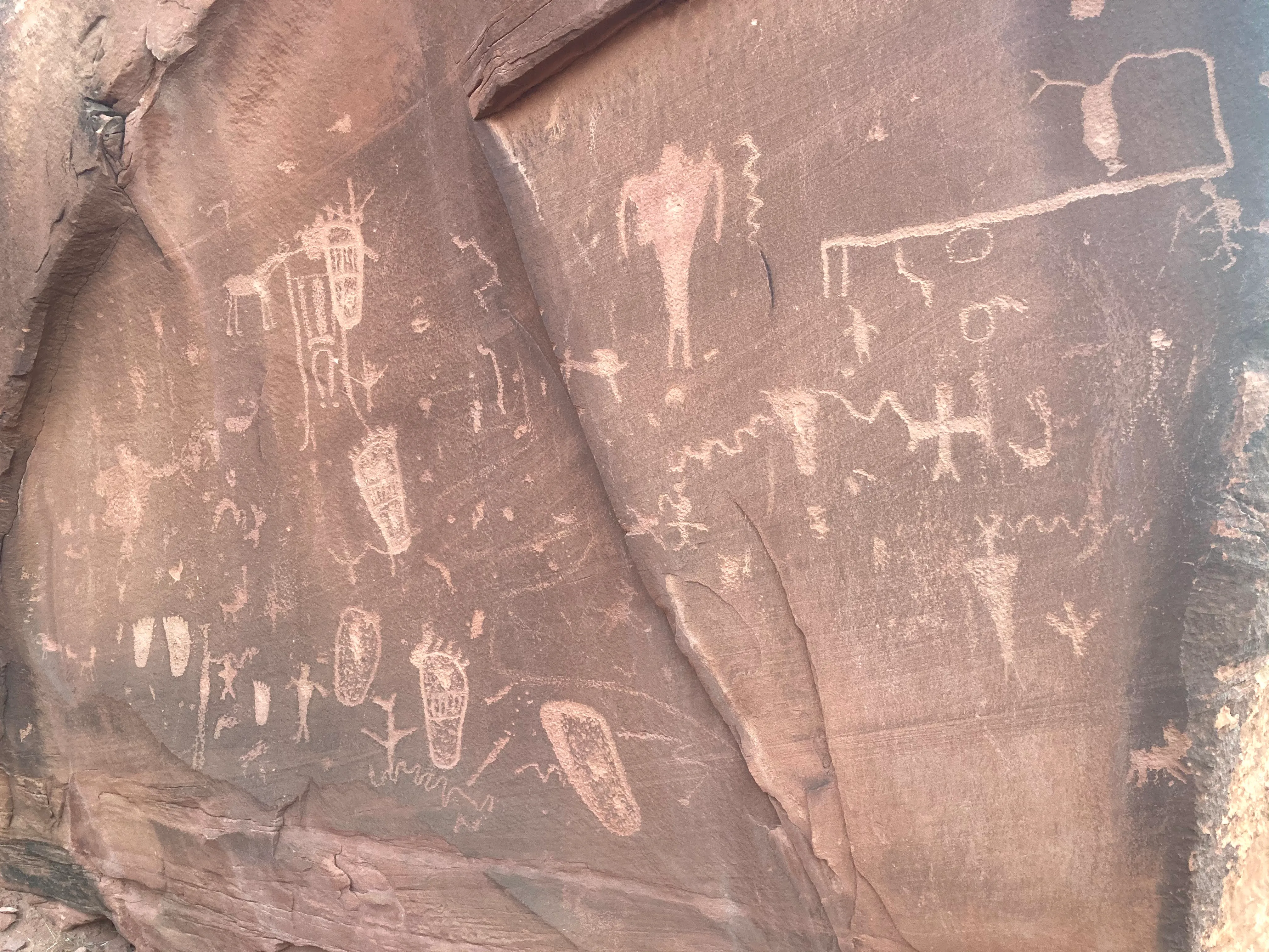 View the Petroglyphs at Birthing Rock