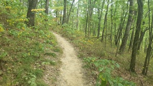 Trail 8 Loop To Hesitation Point