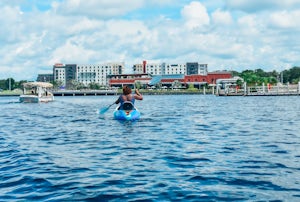 Your Insider Guide to Tampa Bay