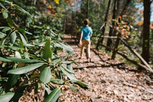 Walk through The Botanical Gardens in Asheville