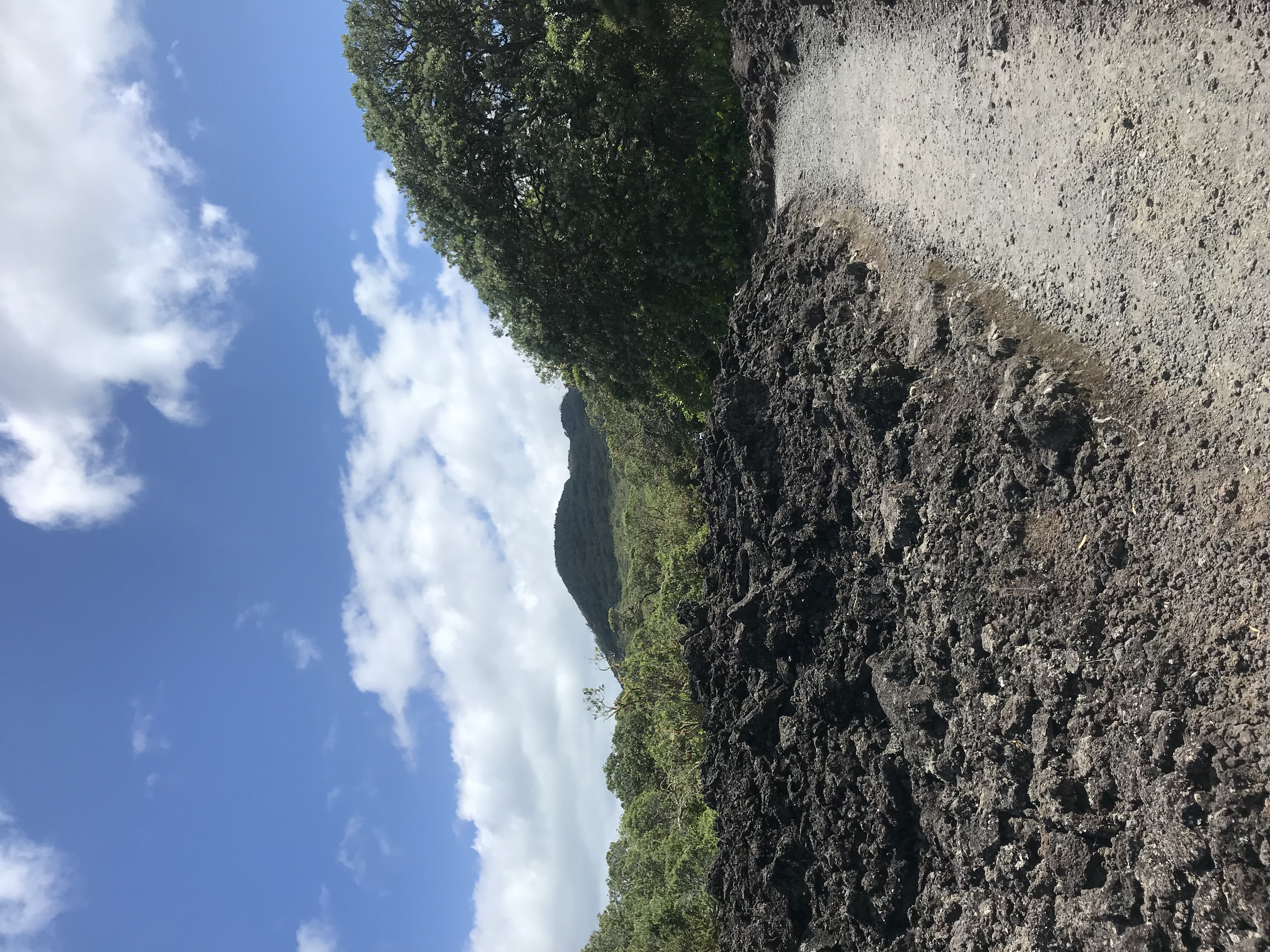 Hike the Summit Track on Rangitoto Island