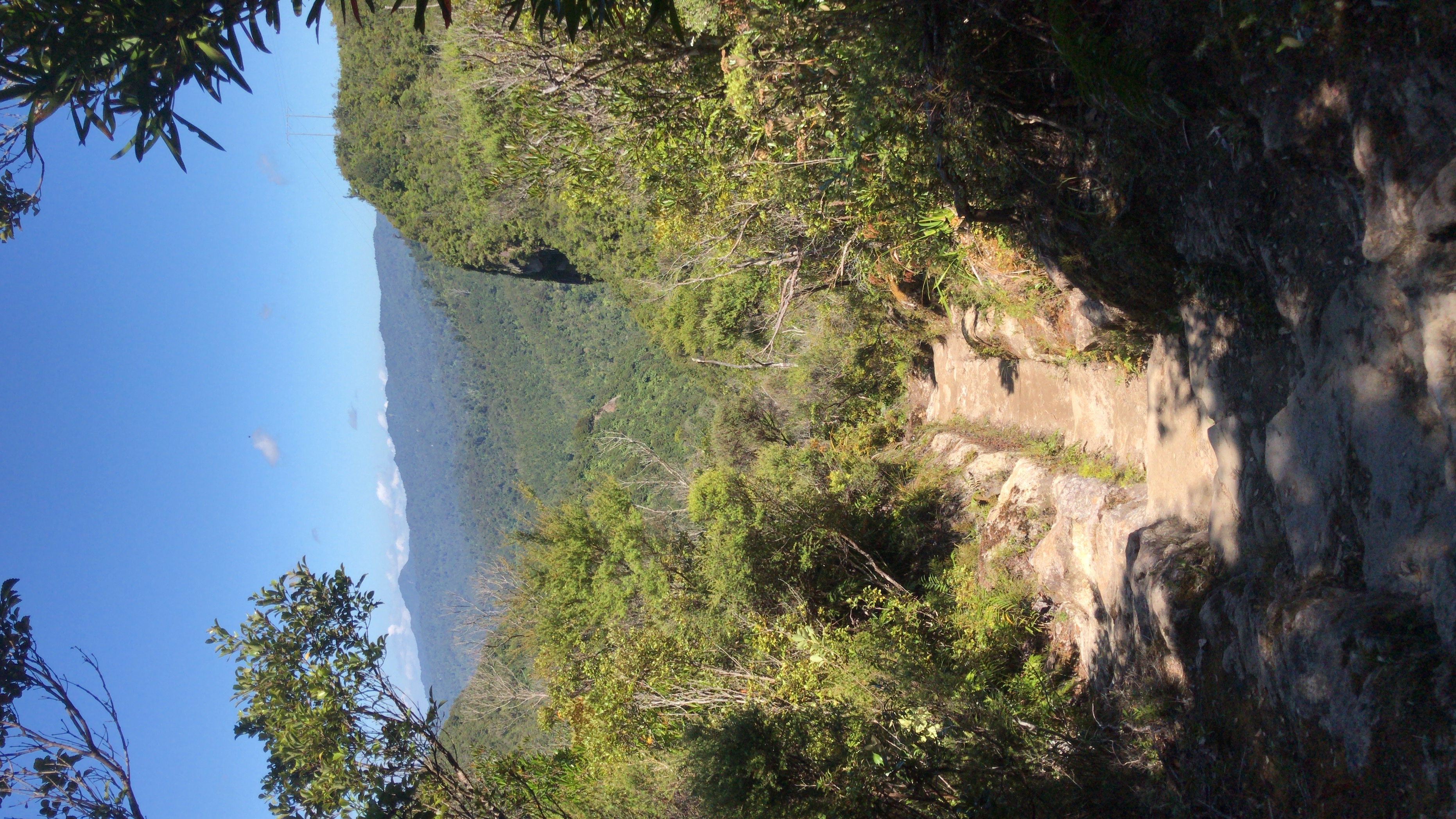 Hike the Kauaeranga Kauri Trail (Pinnacles Track)