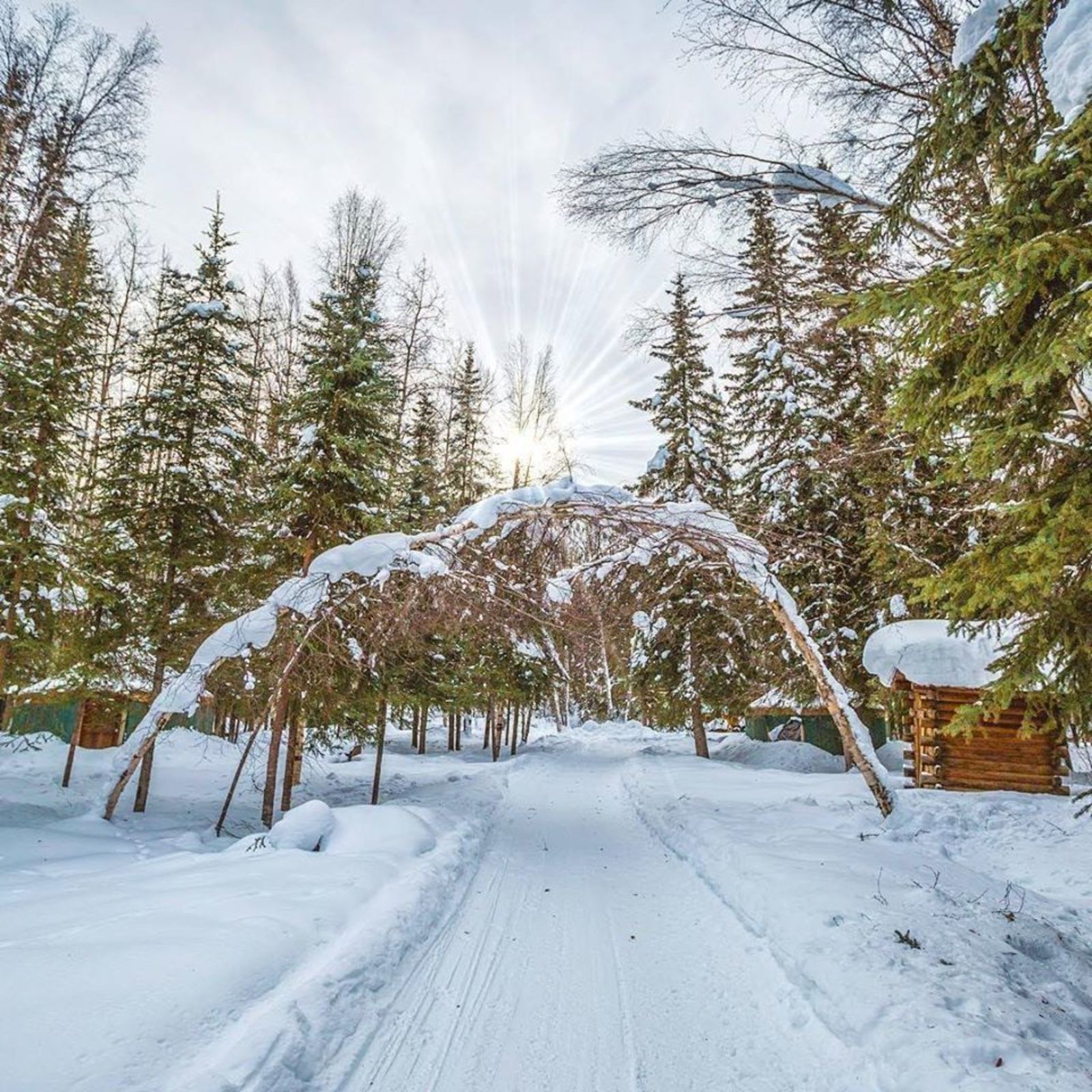 Chena Hot Springs Cabins